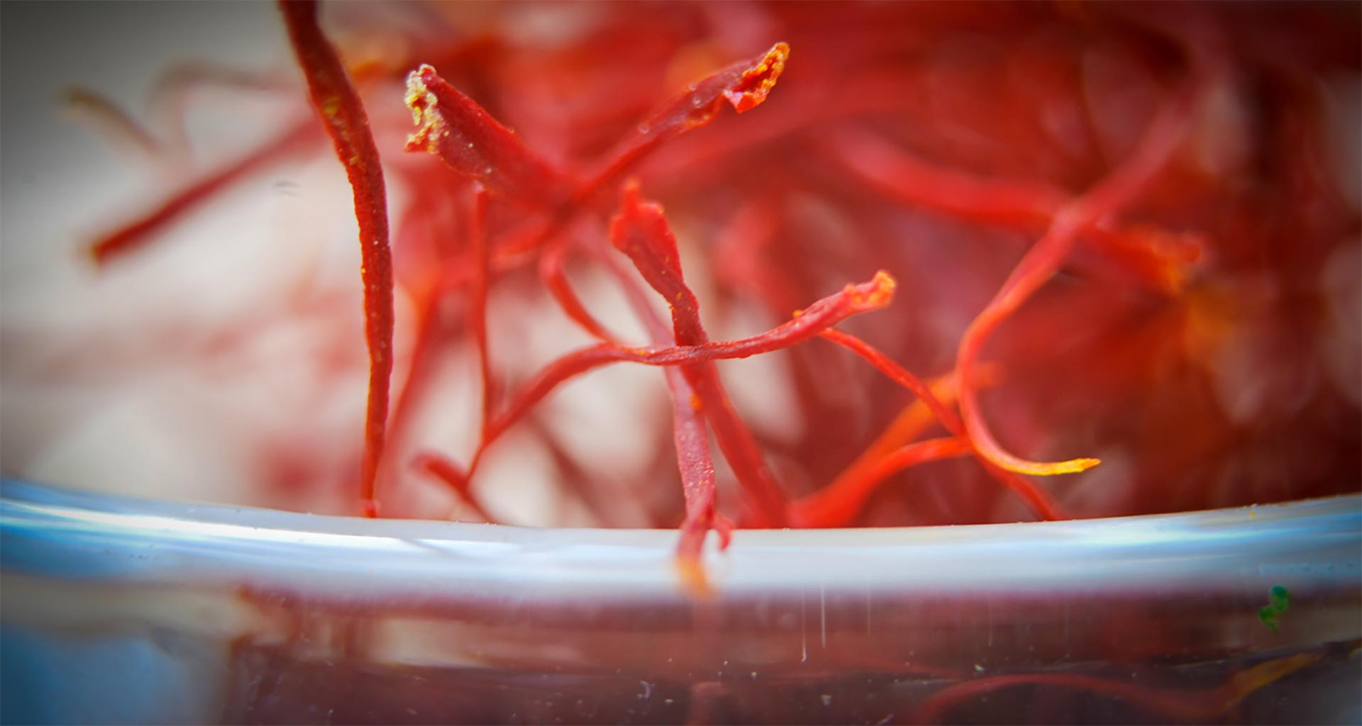 Close up of saffron on a plate